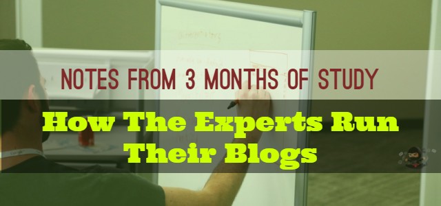 How The Experts Run Their Blogs